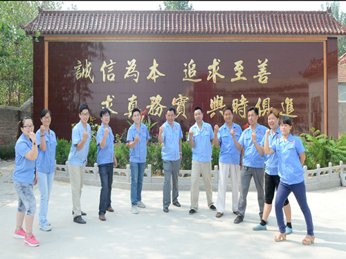 魯磁團隊 魯磁團隊