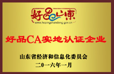 山東魯磁榮譽證書