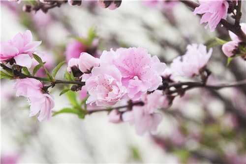 魯磁科技廠區(qū) 魯磁科技廠區(qū)