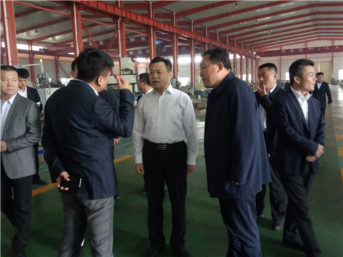 臨清市何書記參觀指導